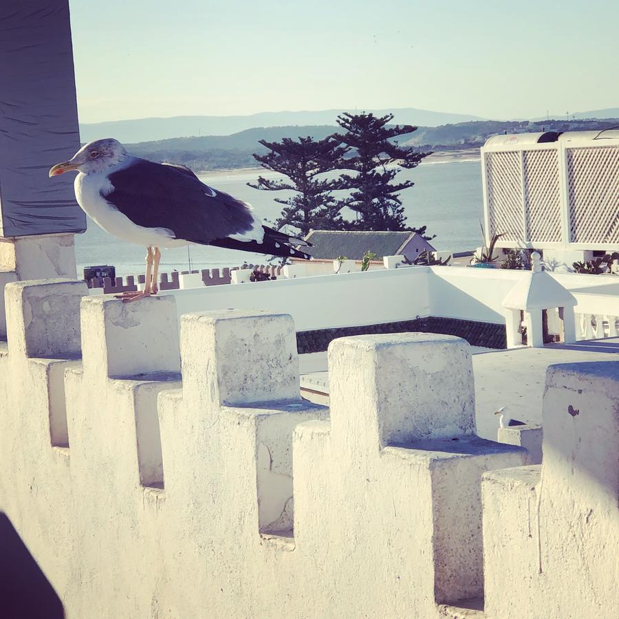 Riad De La Mer Essaouira Eksteriør billede